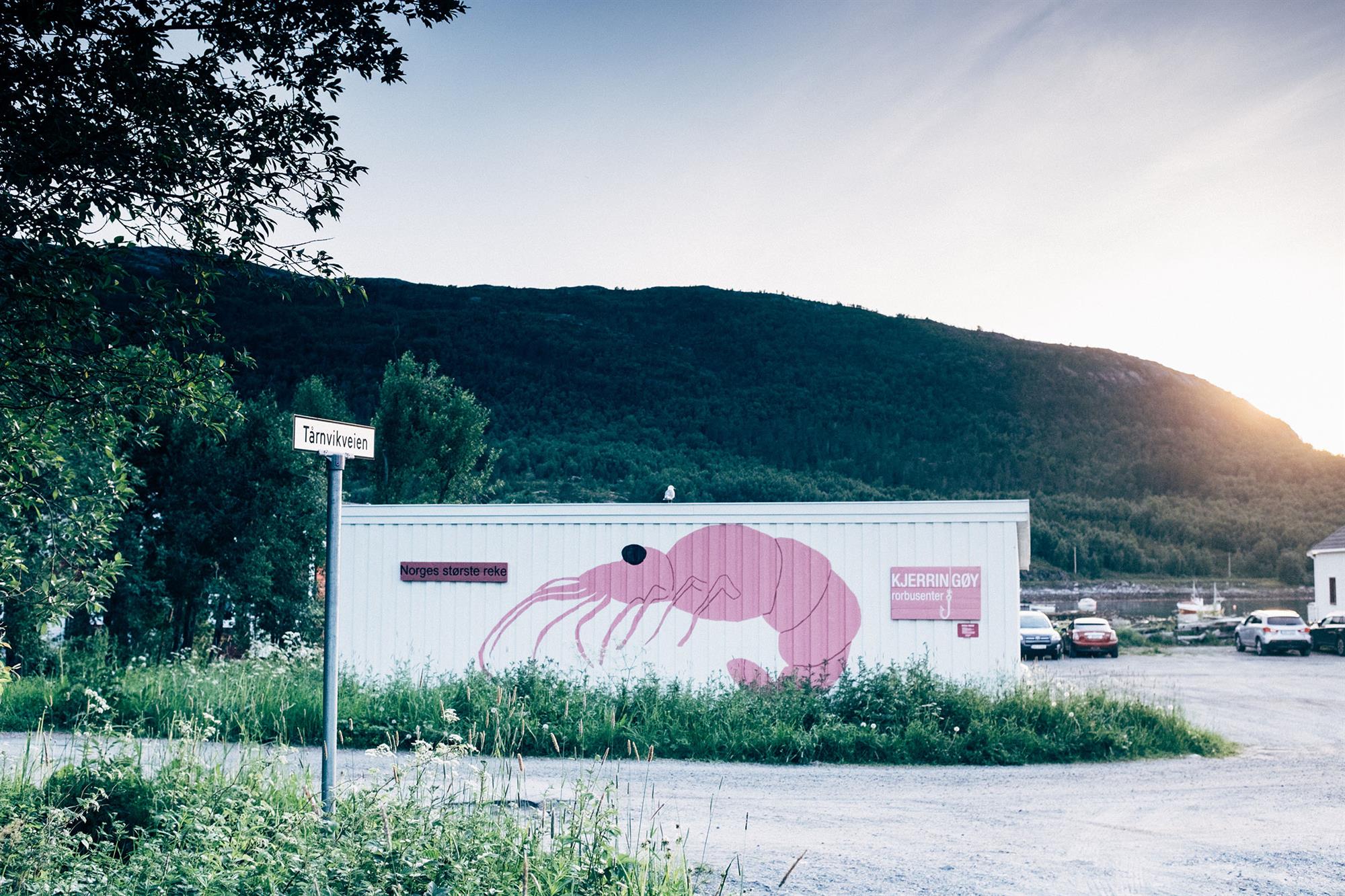 Ytterst på Kjerringøy