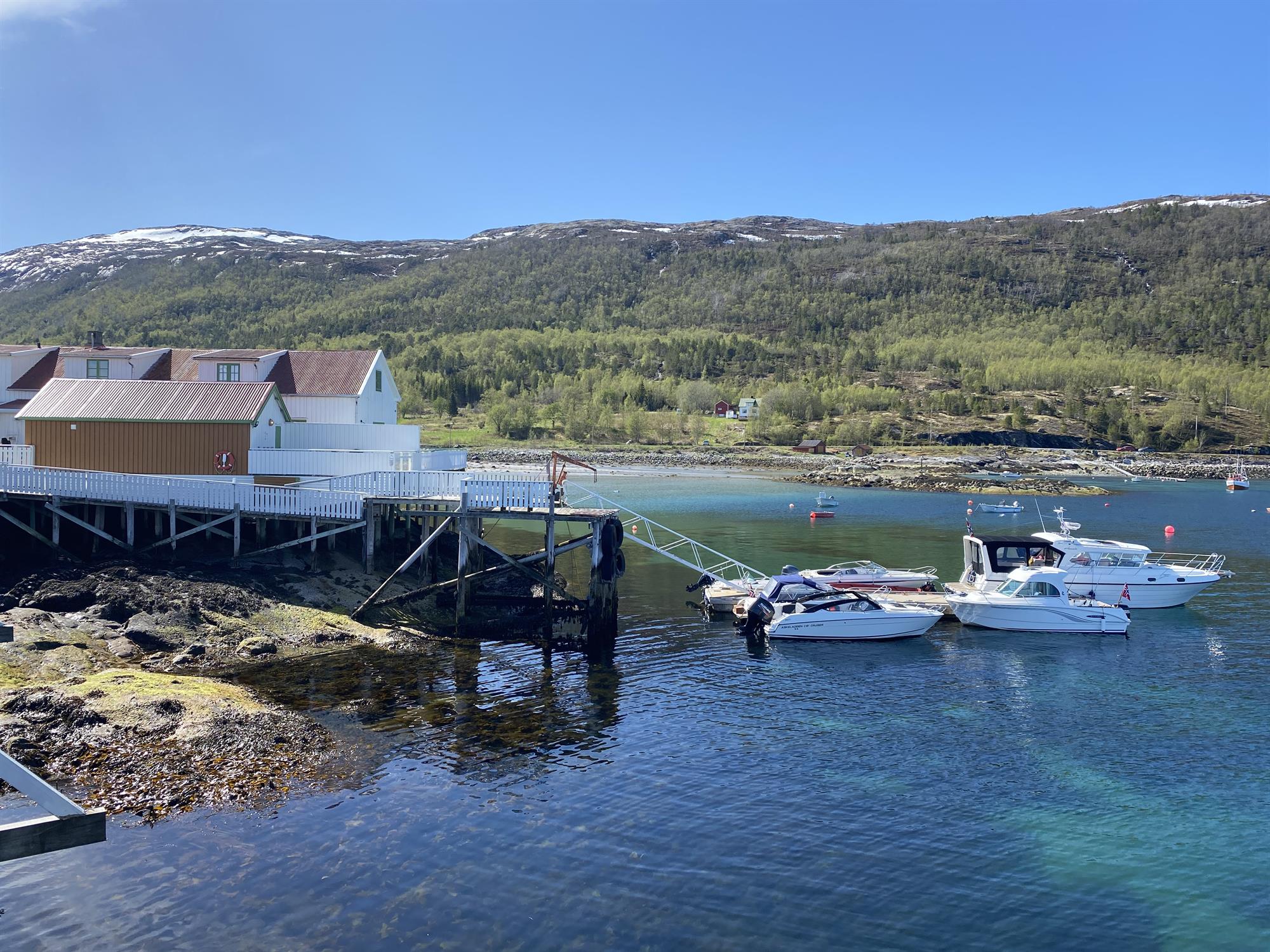 Kjerringøy rorbusenter