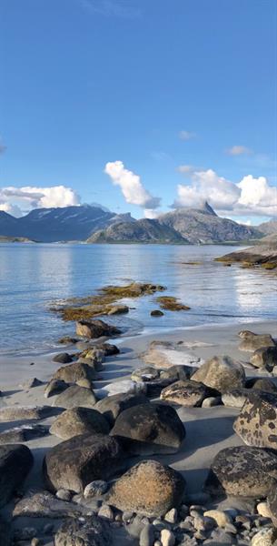 Kjerringøy rorbusenter