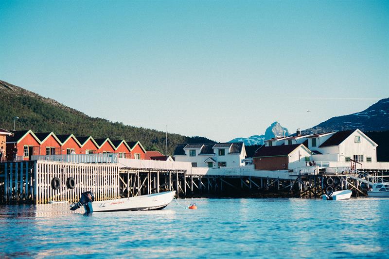 Kjerringøy rorbusenter natur