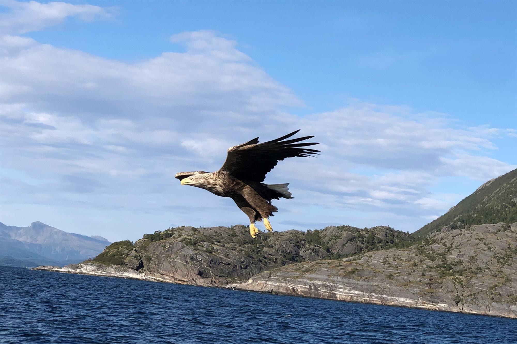 Kjerringøy rorbusenter