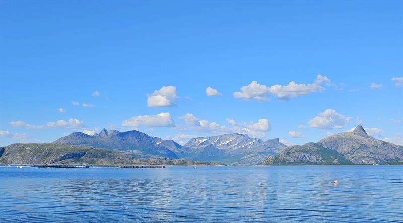 Kjerringøy rorbusenter