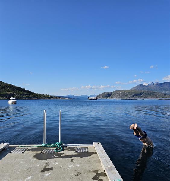 Kjerringøy rorbusenter