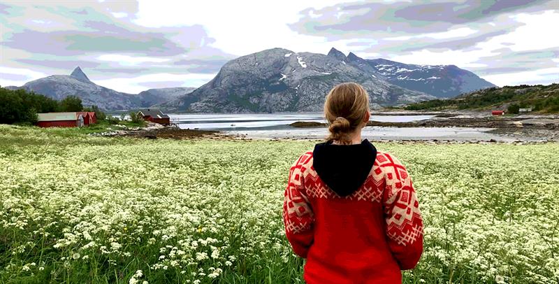 Kjerringøy rorbusenter